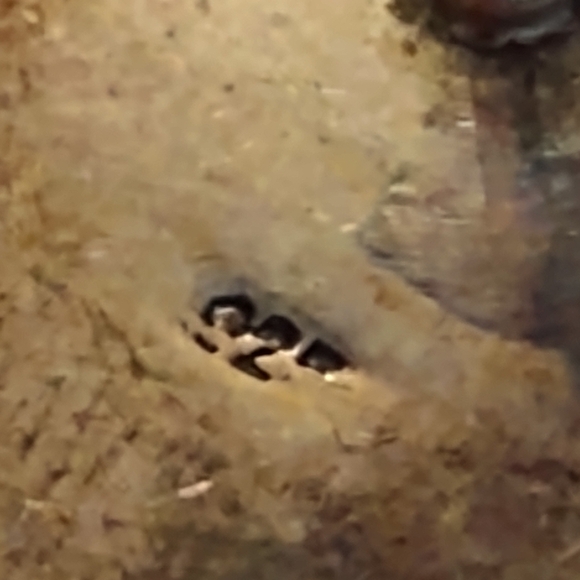 925 vintage women's earrings stone - Picture 5 of 5